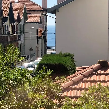 Bel Appartement, Offrant Calme Et Luminosite, Proche Cote Des Basques * Biarritz