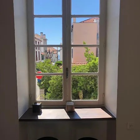 Bel Appartement, Offrant Calme Et Luminosite, Proche Cote Des Basques * Biarritz