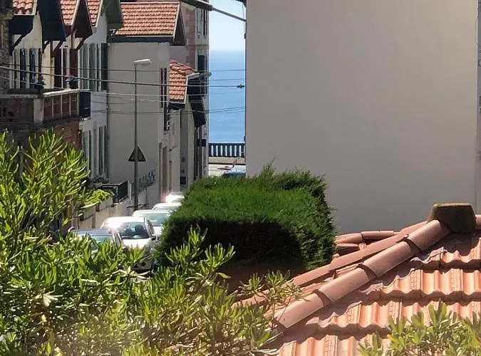 Bel Appartement, Offrant Calme Et Luminosite, Proche Cote Des Basques * Biarritz